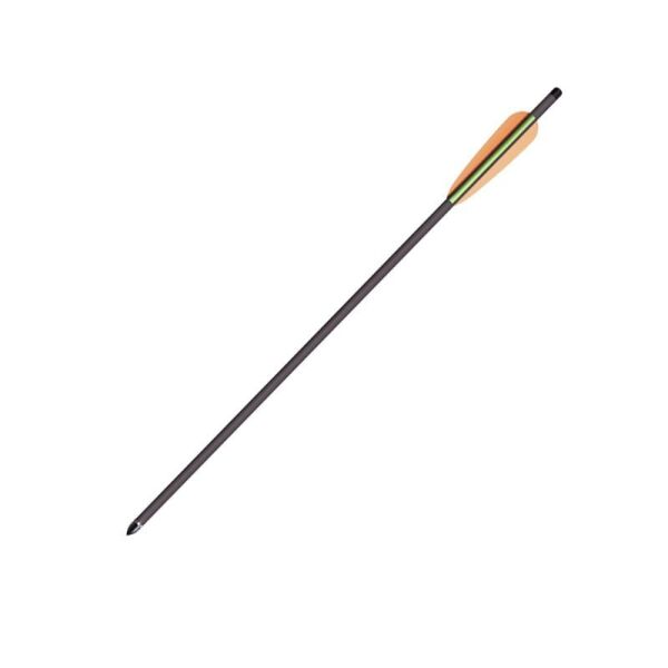 Crosman Carbon Yedek Ok (6 Adet)