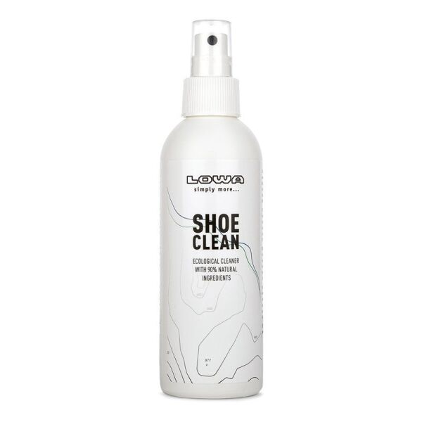 Lowa Shoes Clean